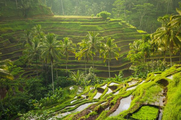 gianyar bali